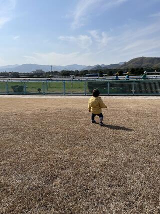 JRA 小倉競馬場のクチコミ写真1