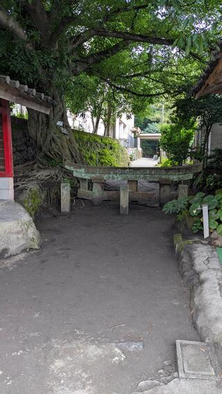 黒神埋没鳥居のクチコミ写真1