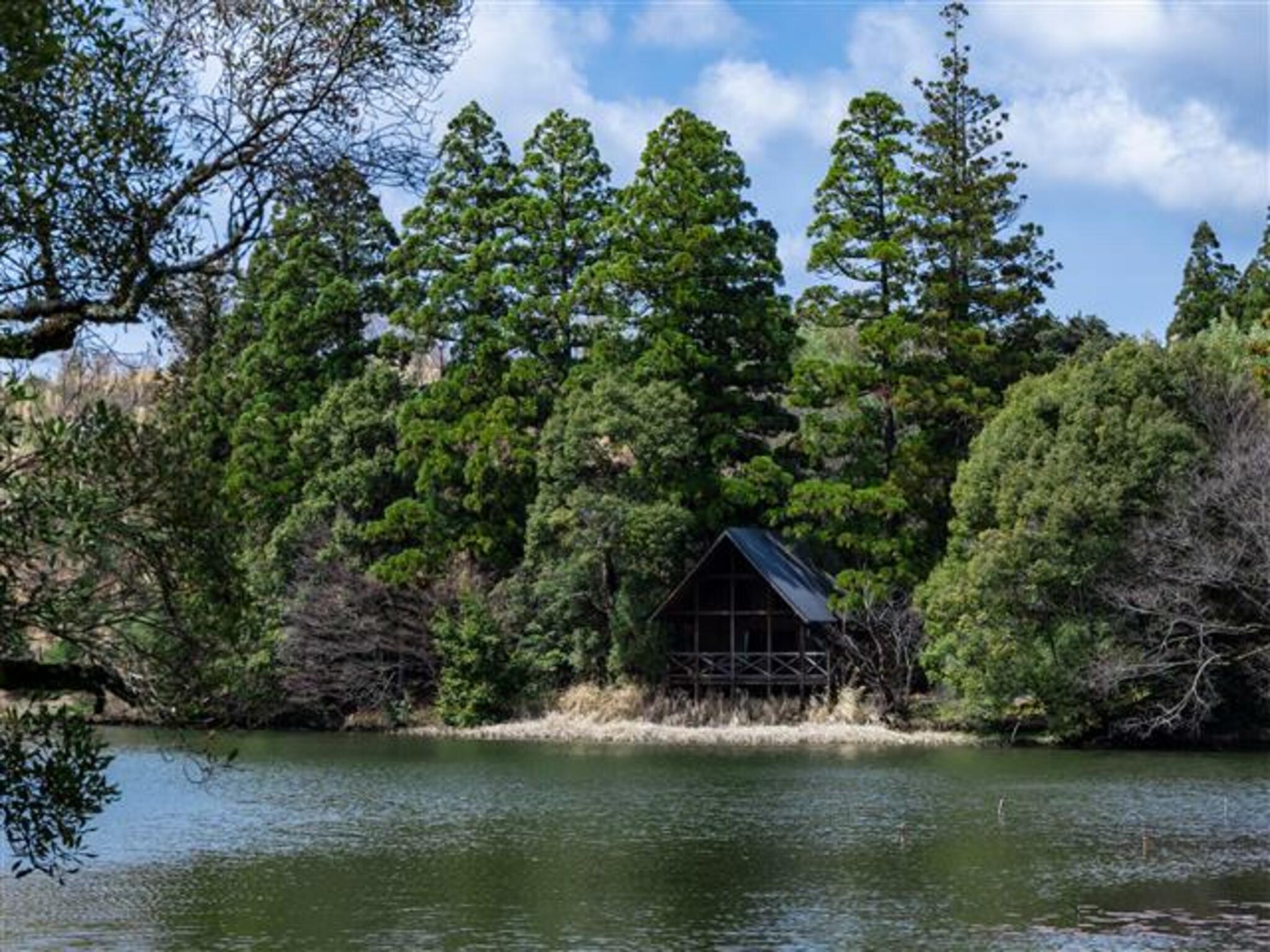 池の山キャンプ場の代表写真6