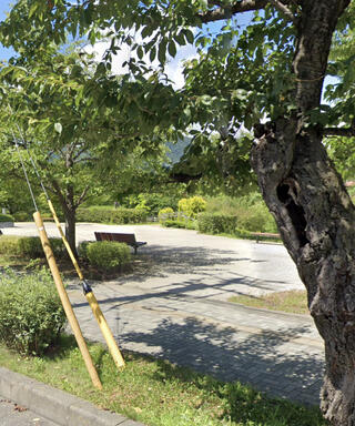 長野市城山公園のクチコミ写真1