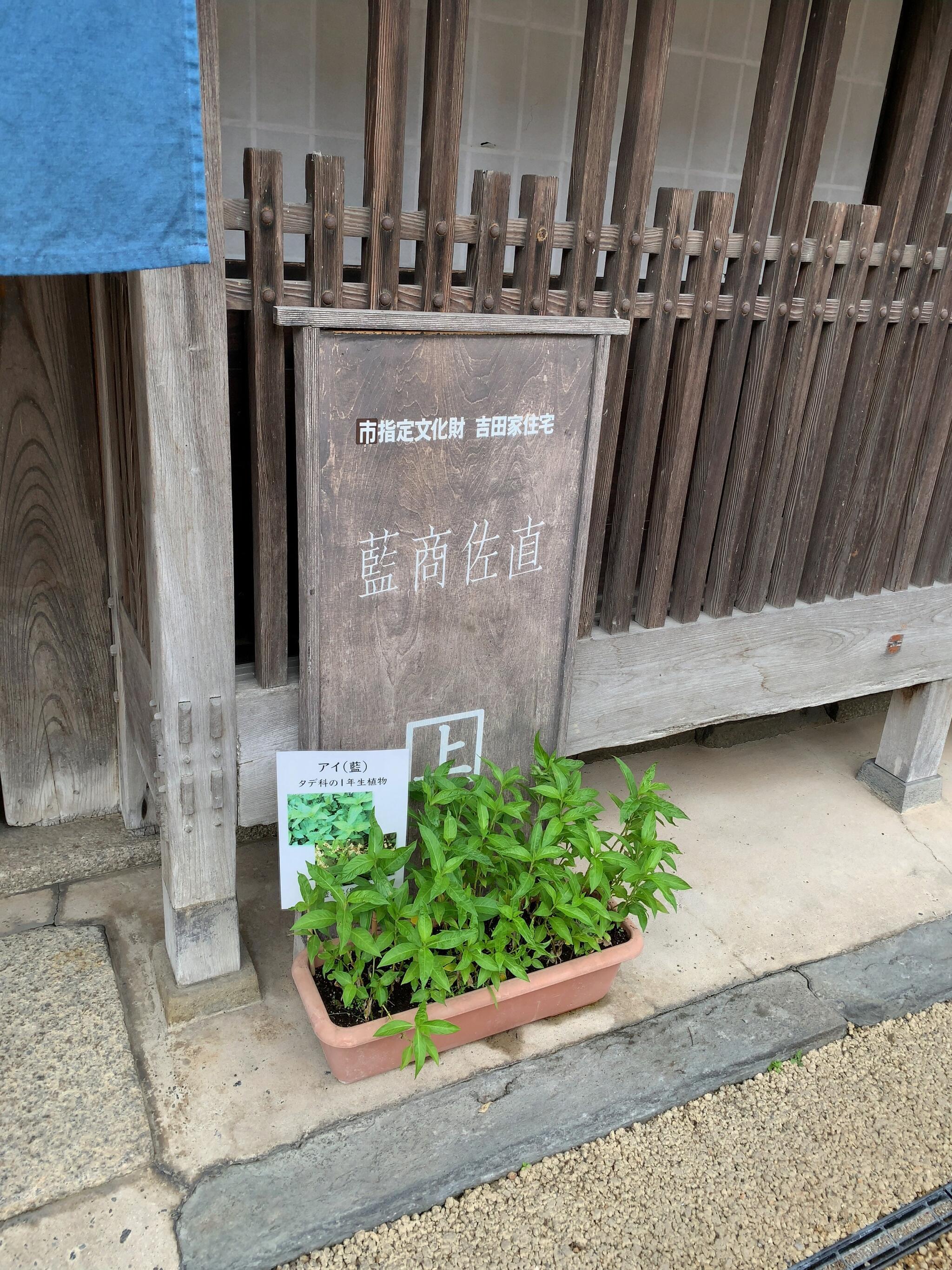 藍商佐直・吉田家住宅の代表写真10
