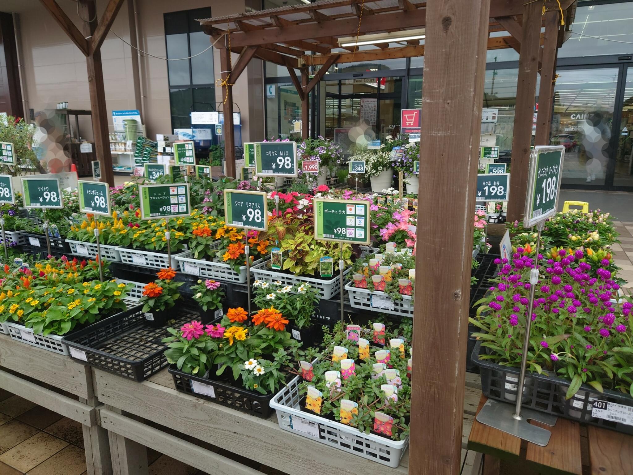 カインズ 甲賀店の代表写真8