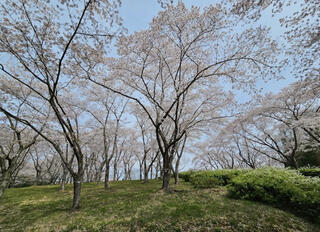 播磨中央公園のクチコミ写真1