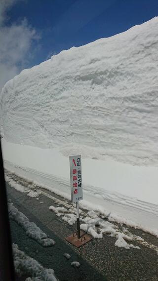 立山黒部アルペンルートのクチコミ写真3