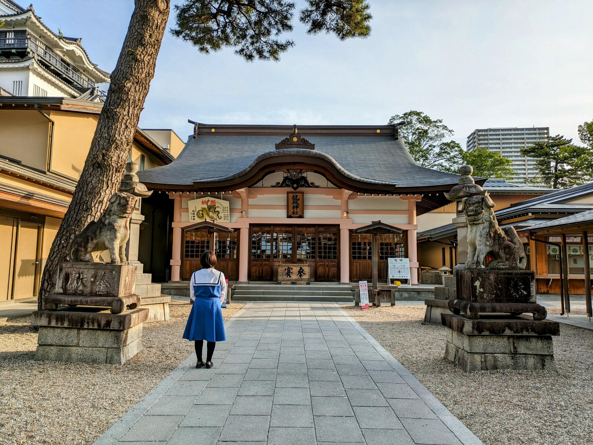 龍城神社の代表写真10