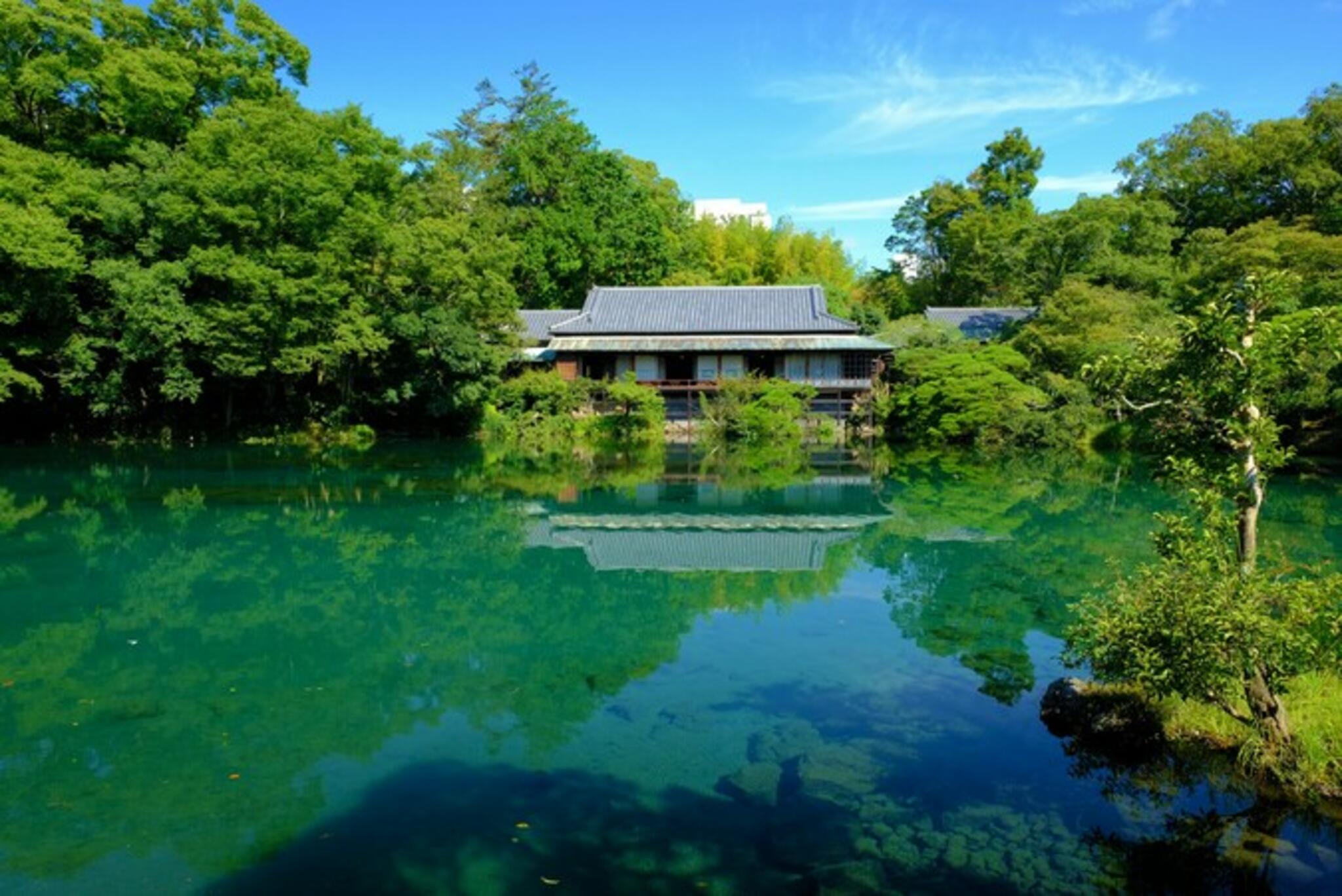 三島市立公園 楽寿園の代表写真10