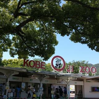 神戸市立王子動物園の写真27