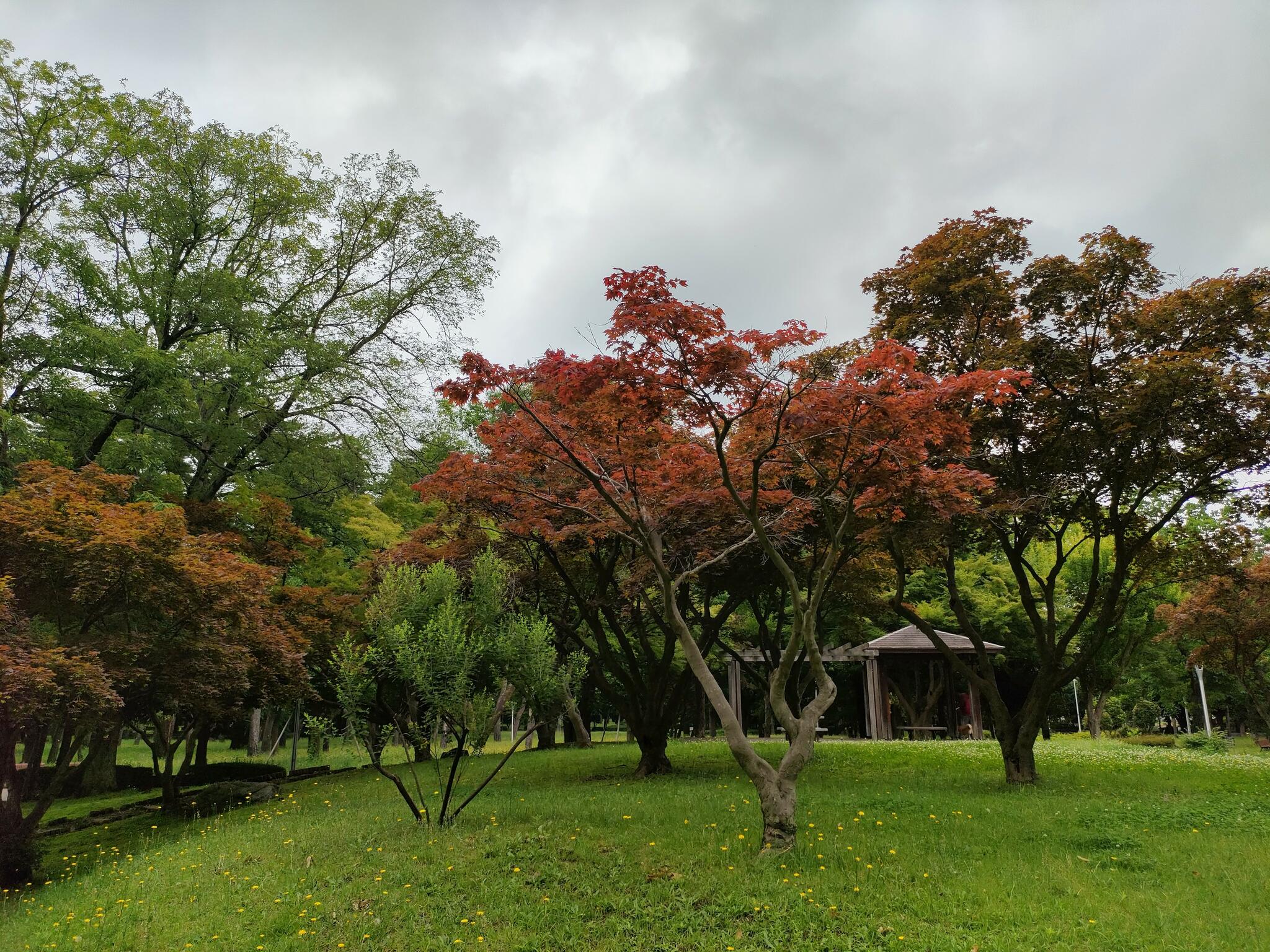 赤塚公園の代表写真4