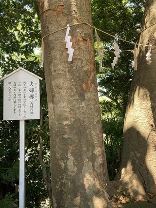 検見川神社のクチコミ写真8