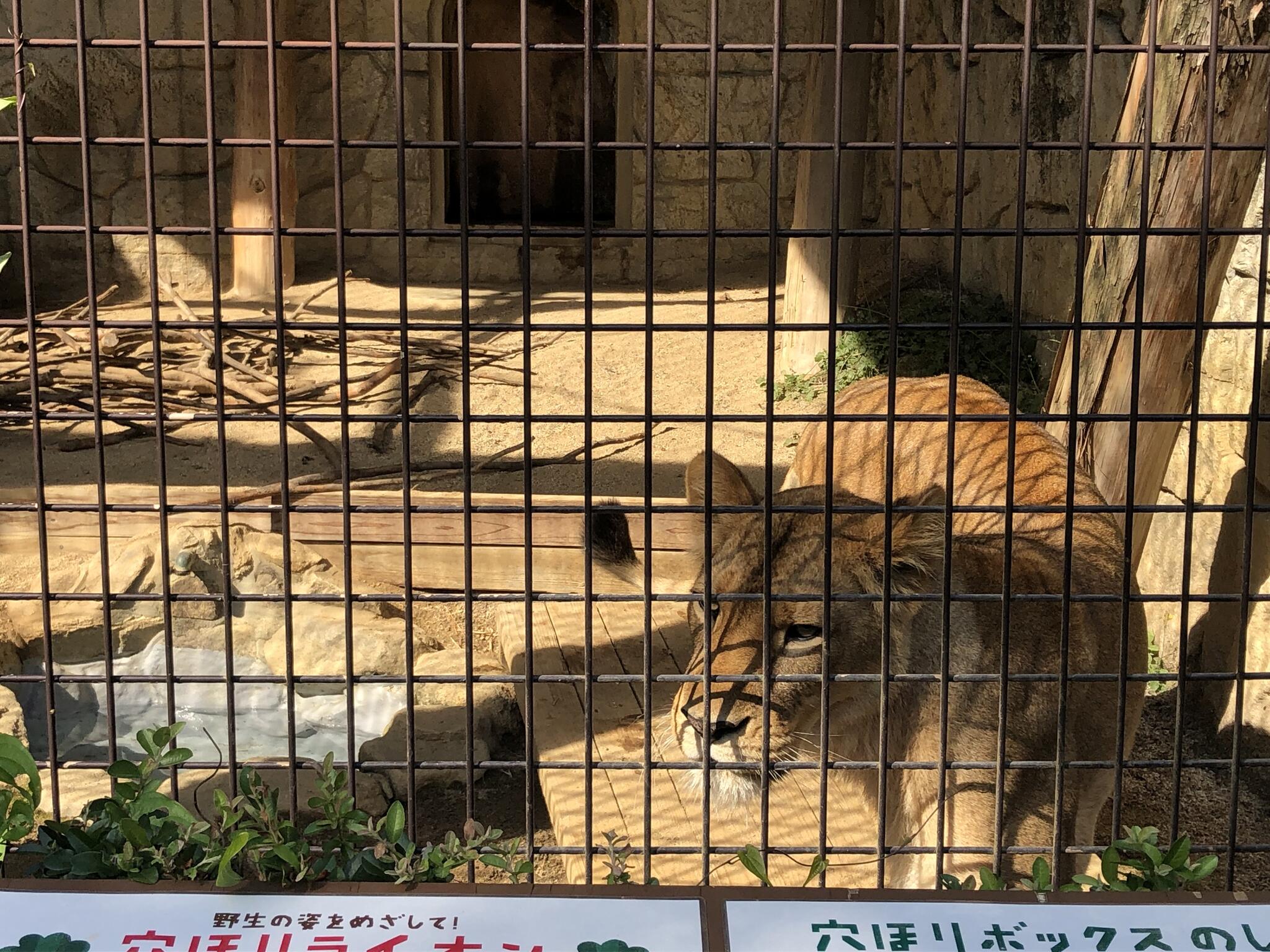 大牟田市動物園の代表写真5