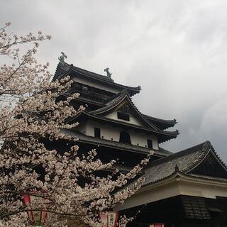 松江城山公園の写真27