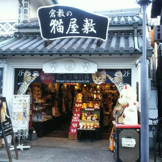 倉敷の犬猫屋敷の写真4