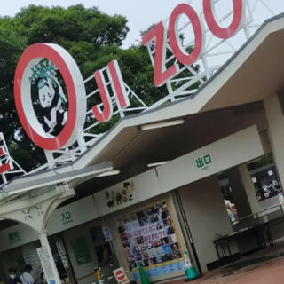 神戸市立王子動物園の写真26