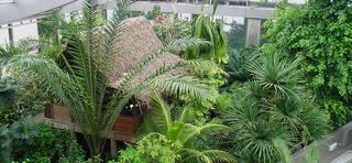 板橋区立熱帯環境植物館のクチコミ写真1