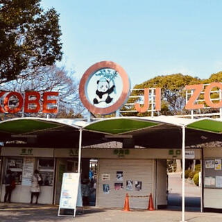 神戸市立王子動物園の写真22