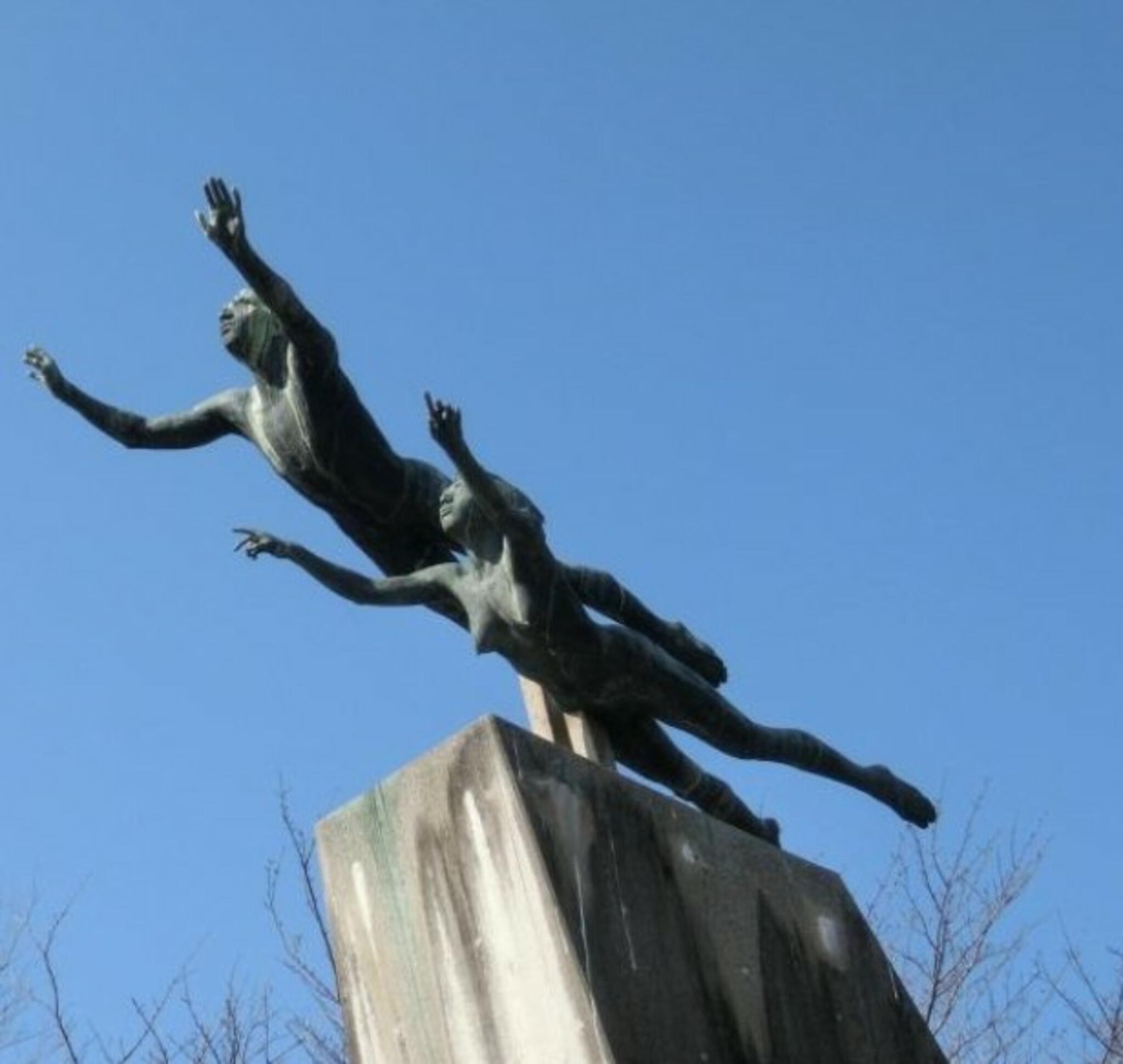 松伏総合公園の代表写真9