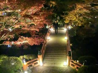醍醐寺のクチコミ写真3