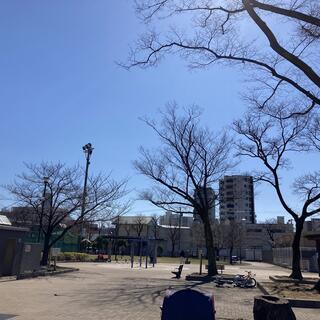 渋江公園の写真7