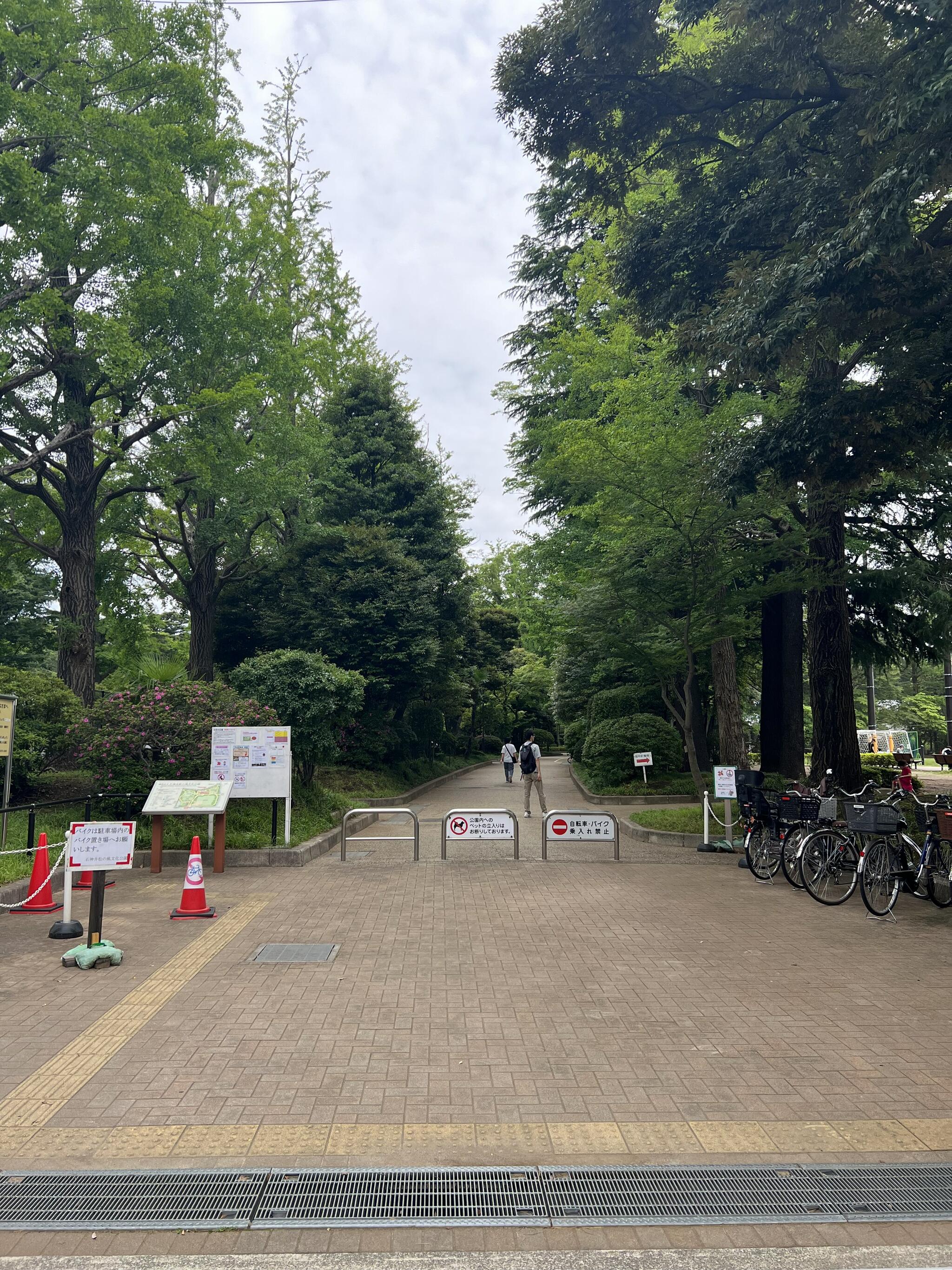 練馬区立石神井松の風文化公園庭球場の代表写真3