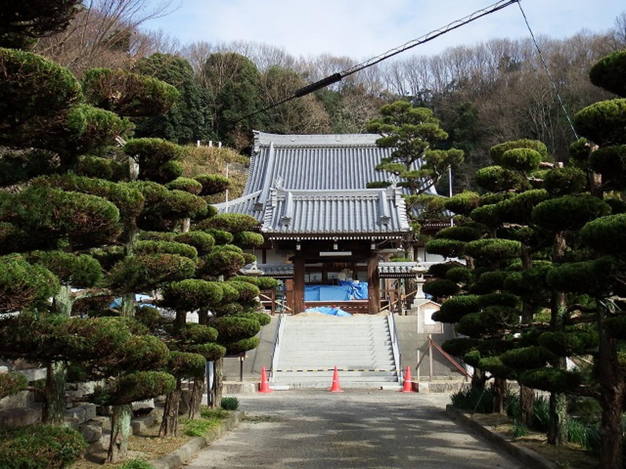 徳円寺の代表写真4