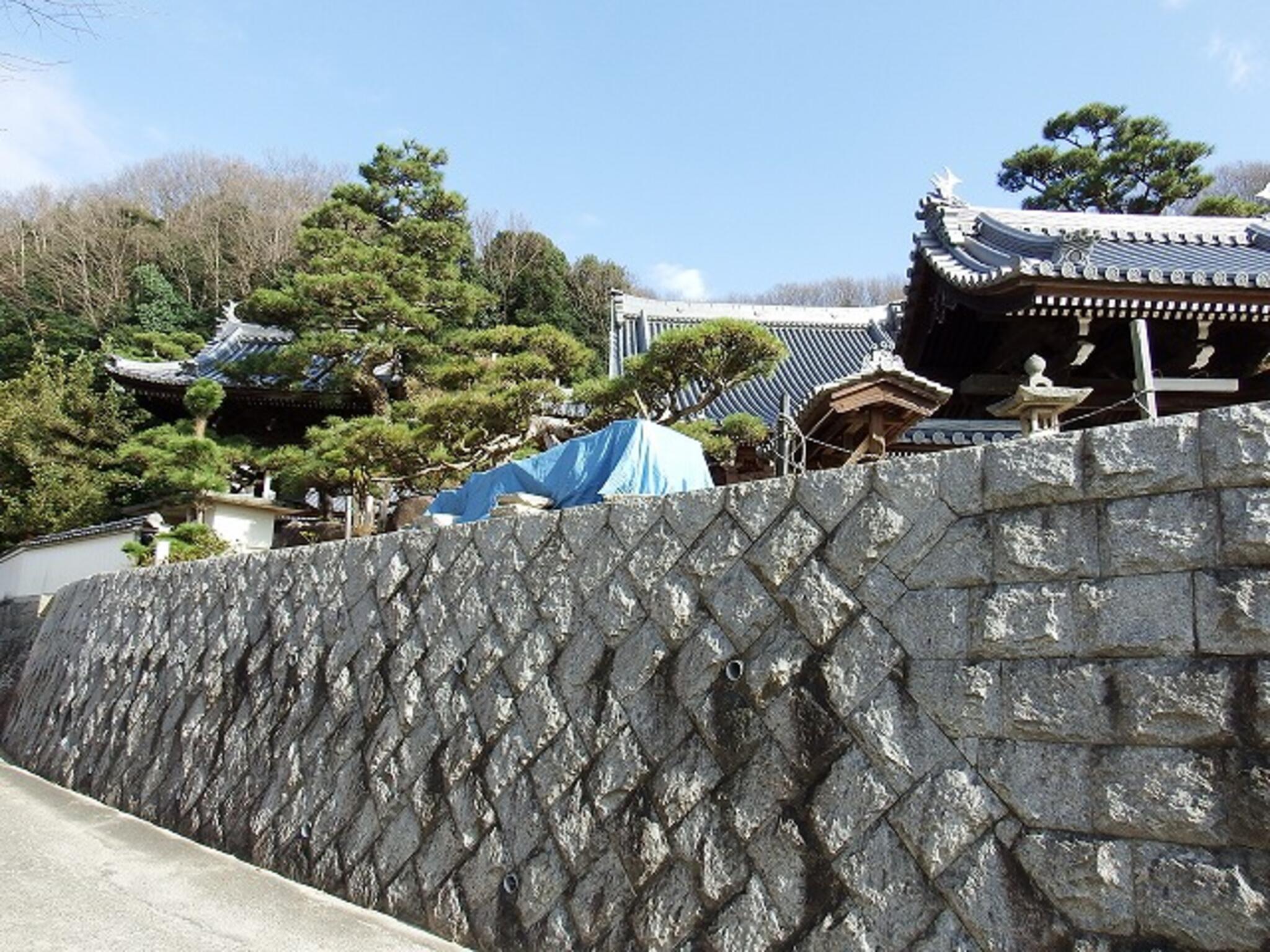 徳円寺の代表写真7