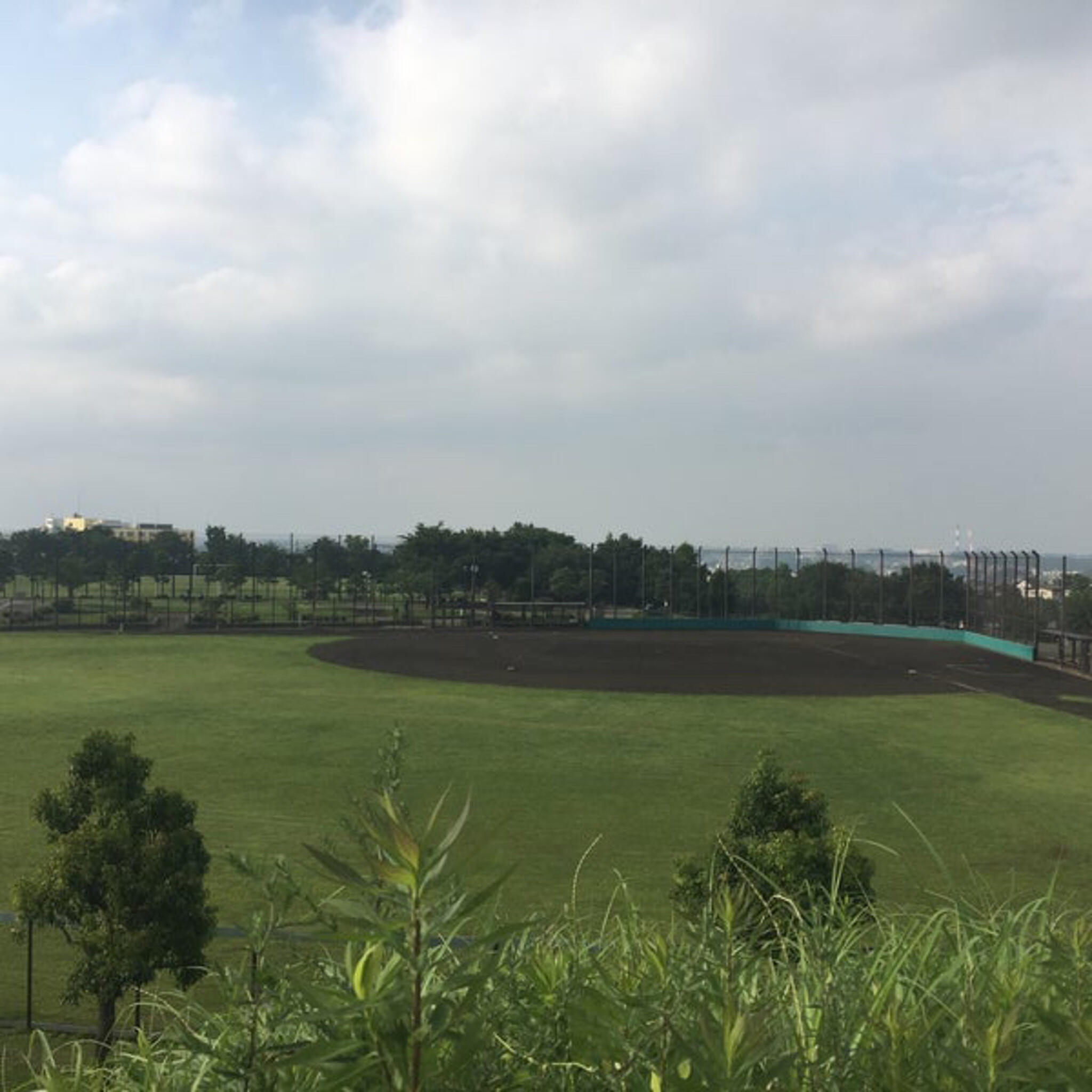 横浜市長坂谷公園野球場の代表写真4