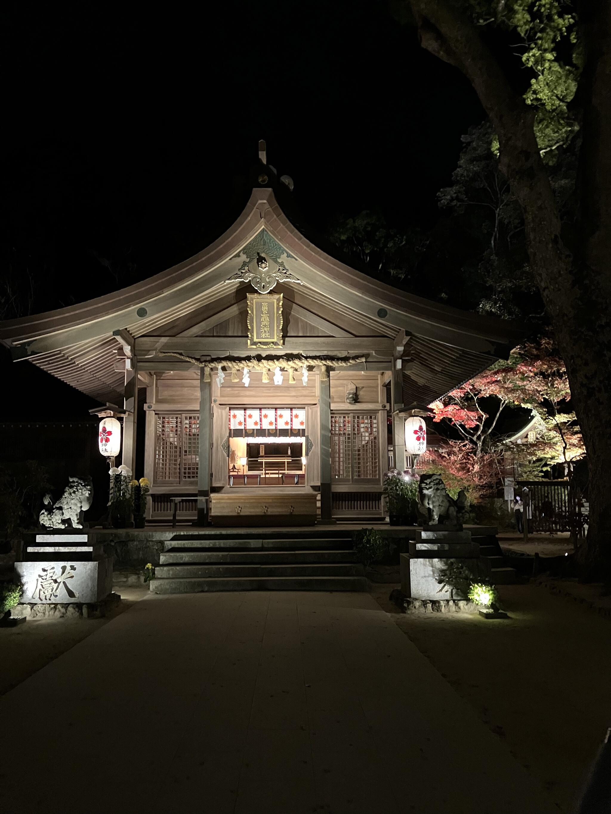 宝満宮 竈門神社の代表写真1