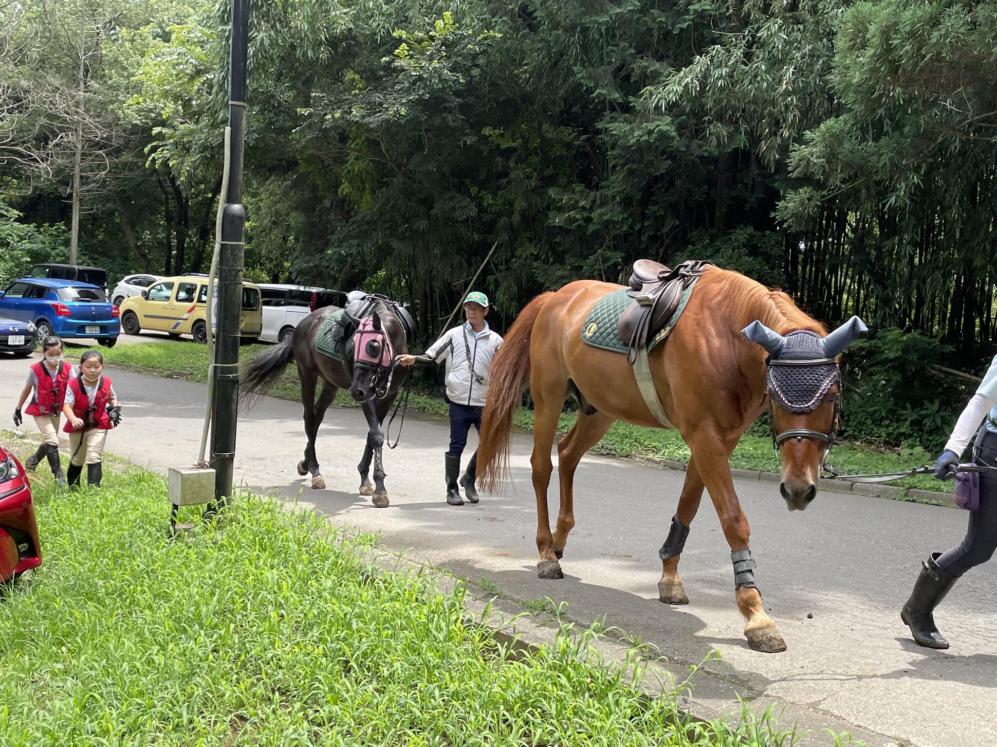 クチコミ : 乗馬クラブ クレイン竜ヶ崎 - 龍ケ崎市貝原塚町/乗馬教室 | Yahoo!マップ