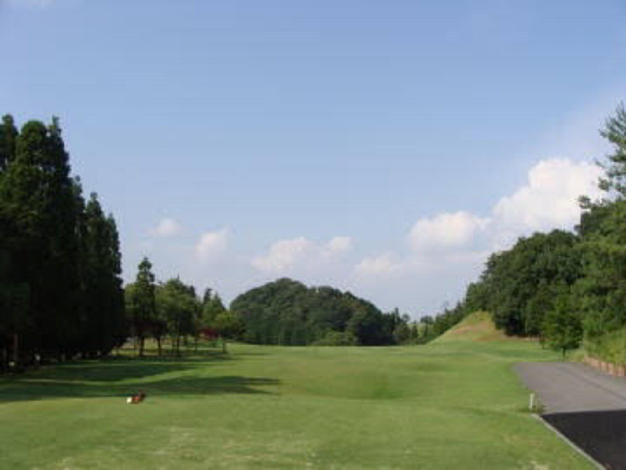 新大阪ゴルフクラブの代表写真5