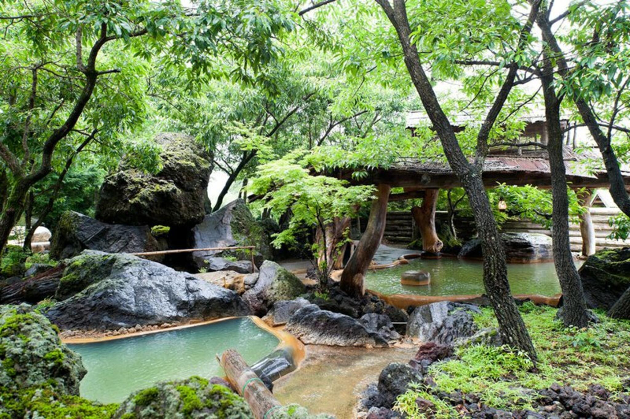 火の山温泉どんどこ湯の代表写真4