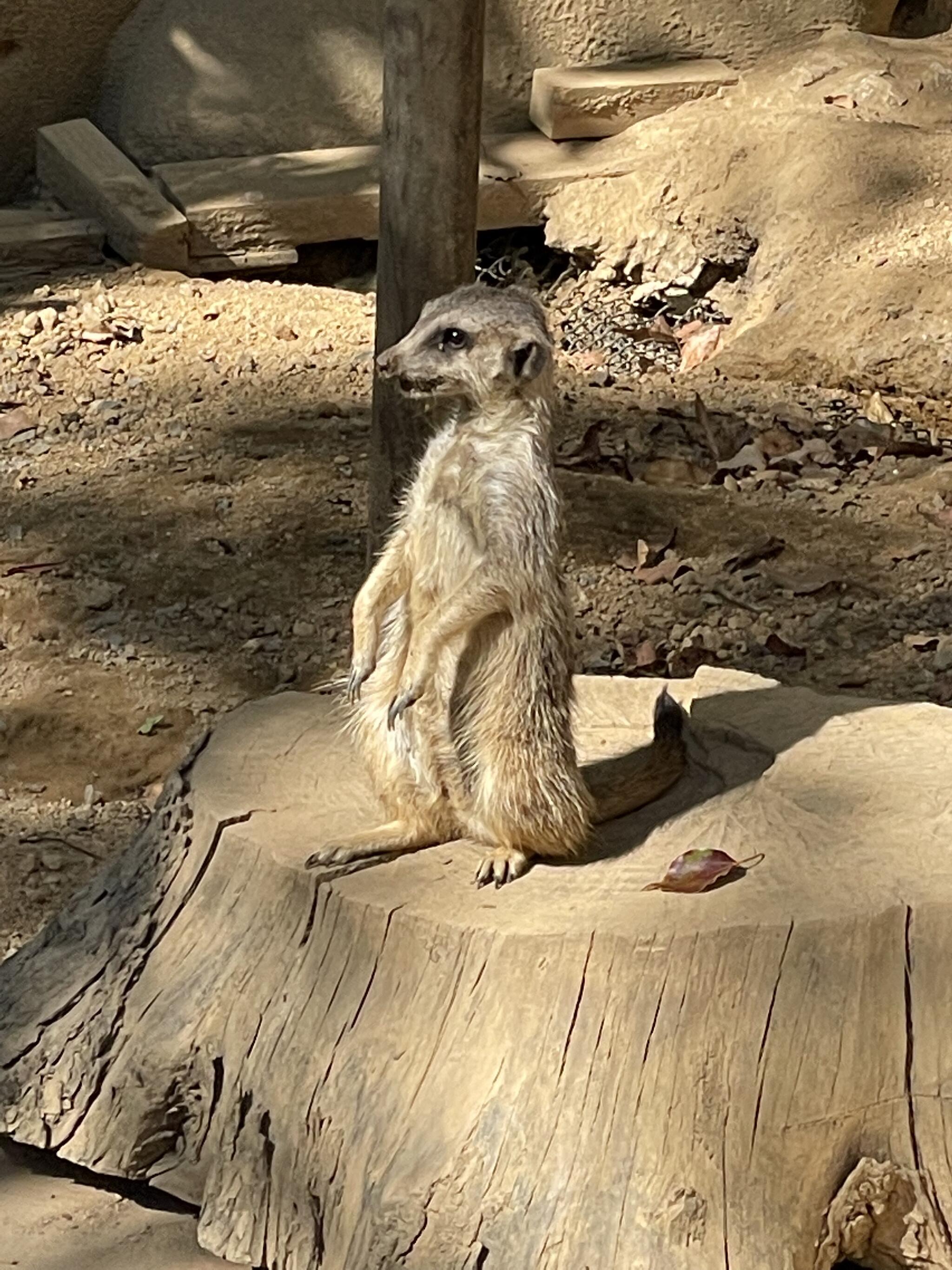 長崎公園の代表写真2