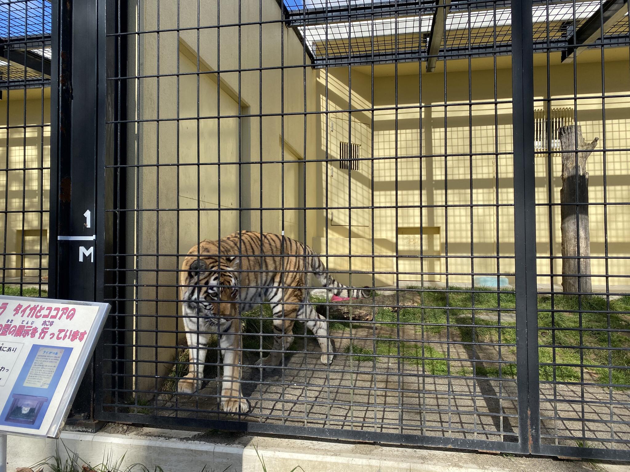 釧路市動物園の代表写真1