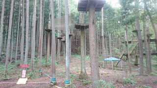 409-0211 山梨県北都留郡小菅村 その他 山梨県北都留郡 コレクション 小菅村3445 フォレストアドベンチャー こすげ