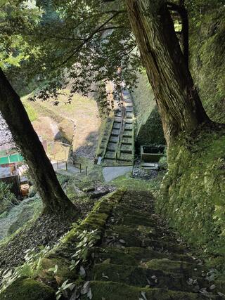 塩浸温泉 龍馬公園のクチコミ写真1