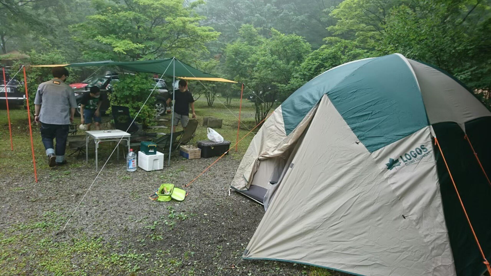 わらび平森林公園キャンプ場の代表写真5