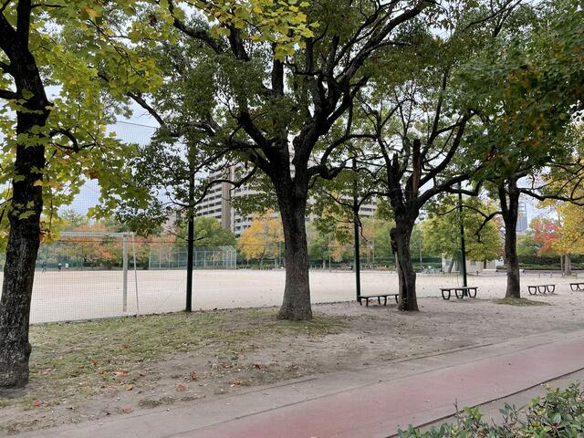 写真 千田公園グラウンド 広島市中区千田町/スポーツ施設 Yahoo!マップ