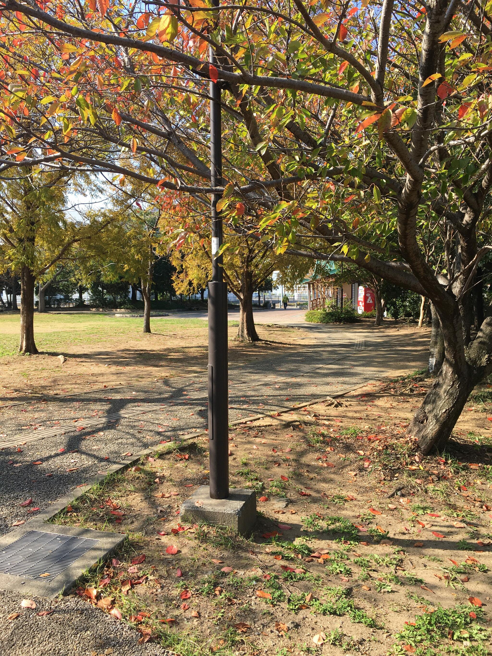 しおかぜ公園(小松島市)の代表写真8