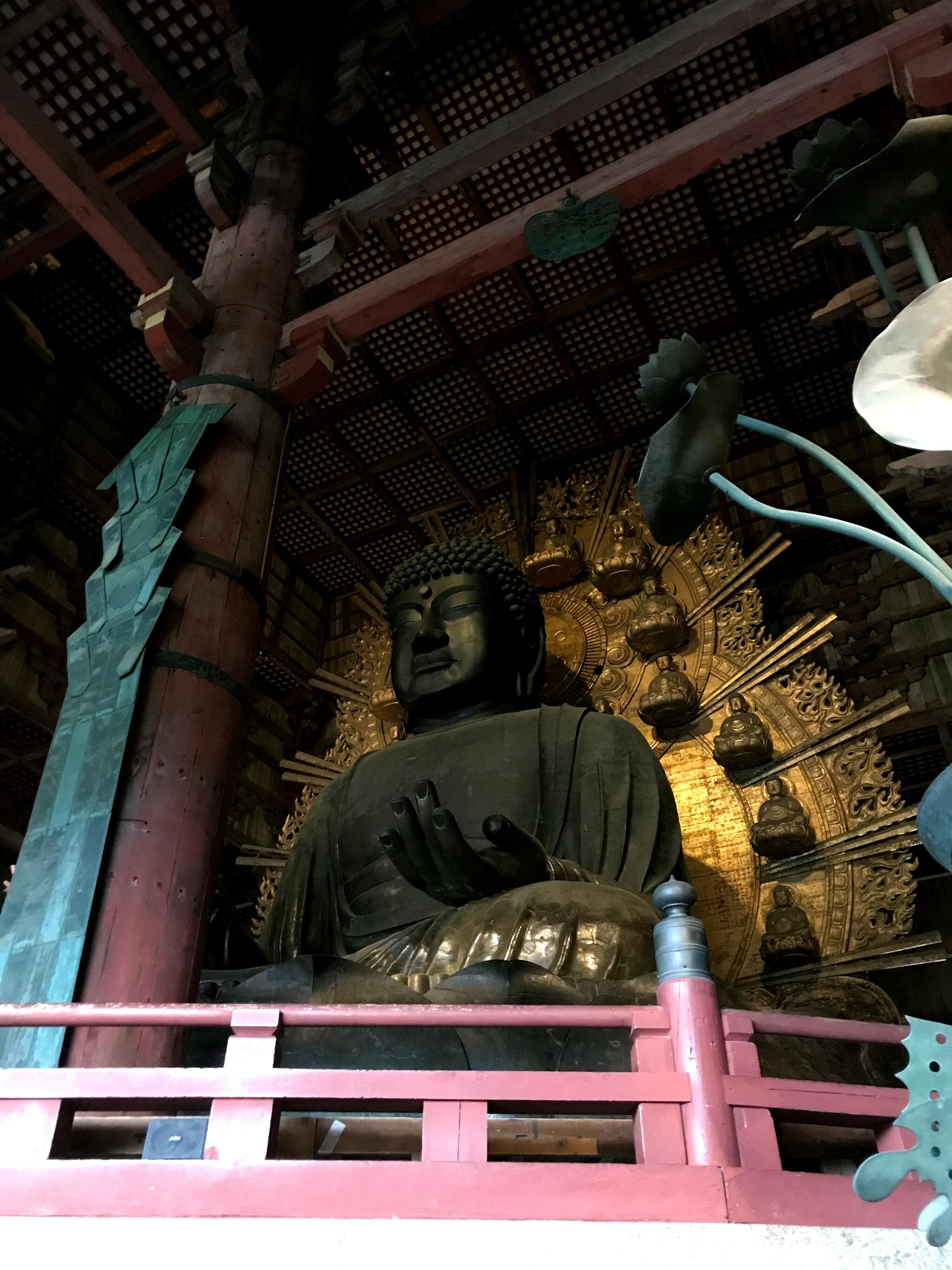 大仏殿の代表写真8