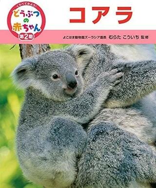 鹿児島県上野原縄文の森のクチコミ写真1