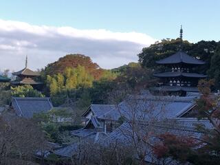 當麻寺 奥院のクチコミ写真2