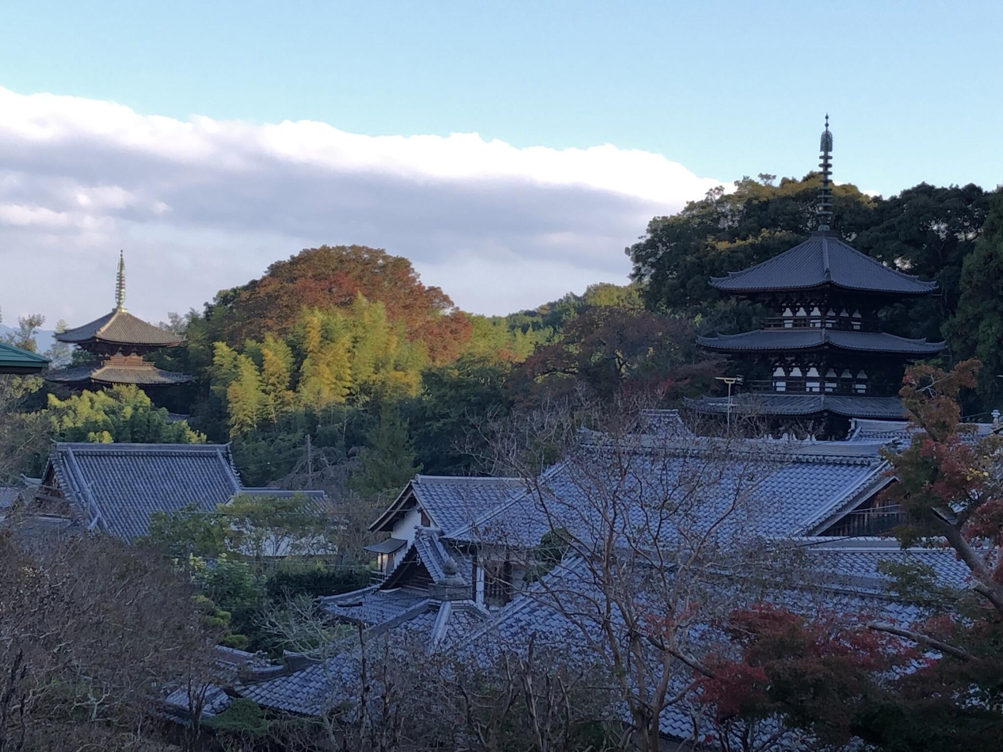 當麻寺 奥院の代表写真8