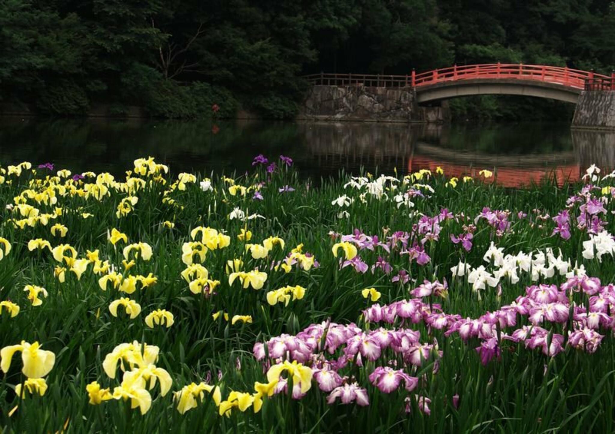 香川県立亀鶴公園の代表写真2