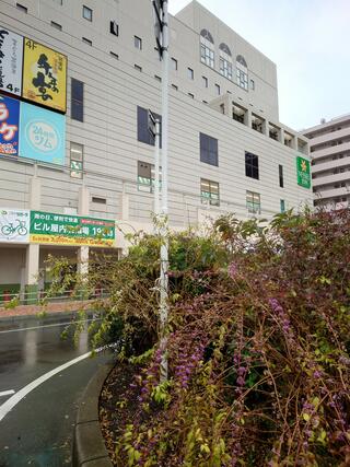 ベッセルイン八千代勝田台駅前のクチコミ写真1