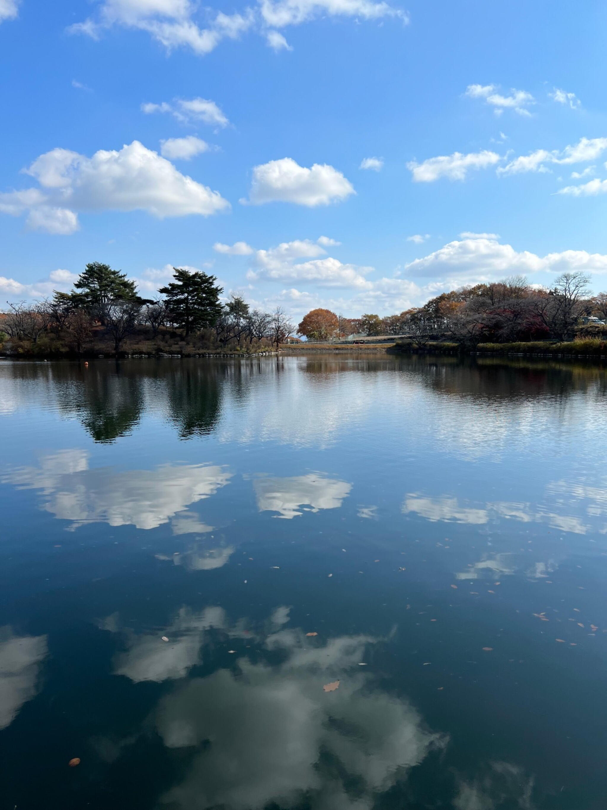 那須高原りんどう湖ファミリー牧場の代表写真6