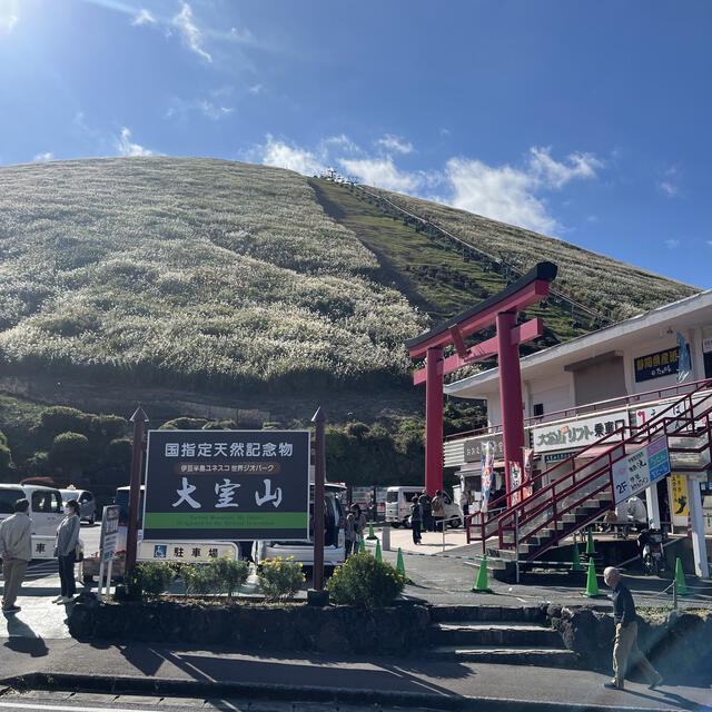 大 販売 室山 ベビーカー