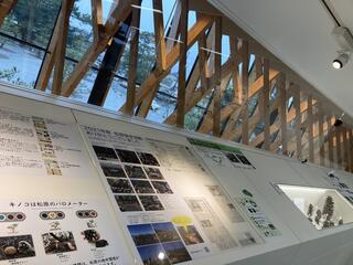 静岡市三保松原 文化創造センター みほしるべのクチコミ写真1