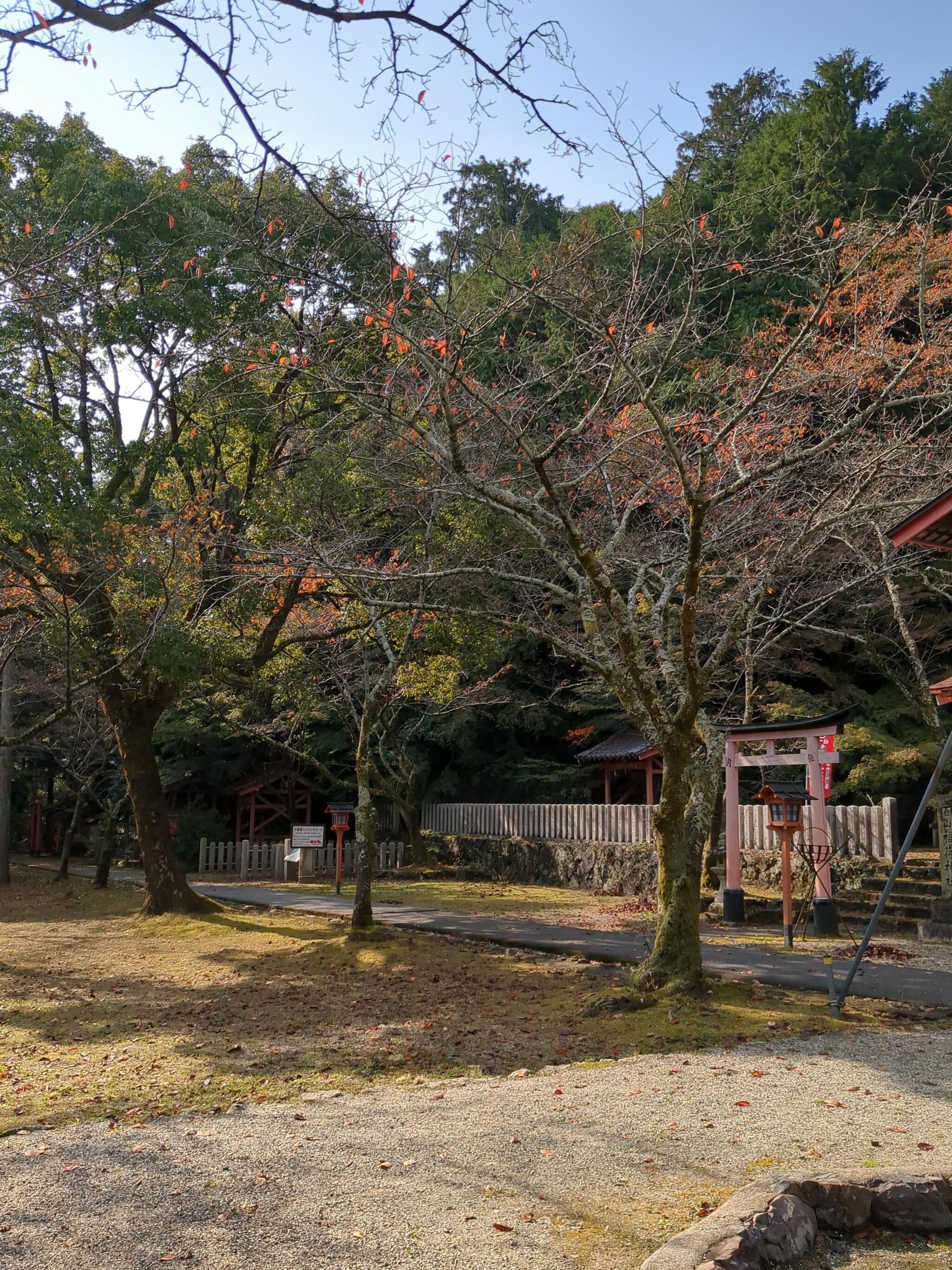 若山神社の代表写真7