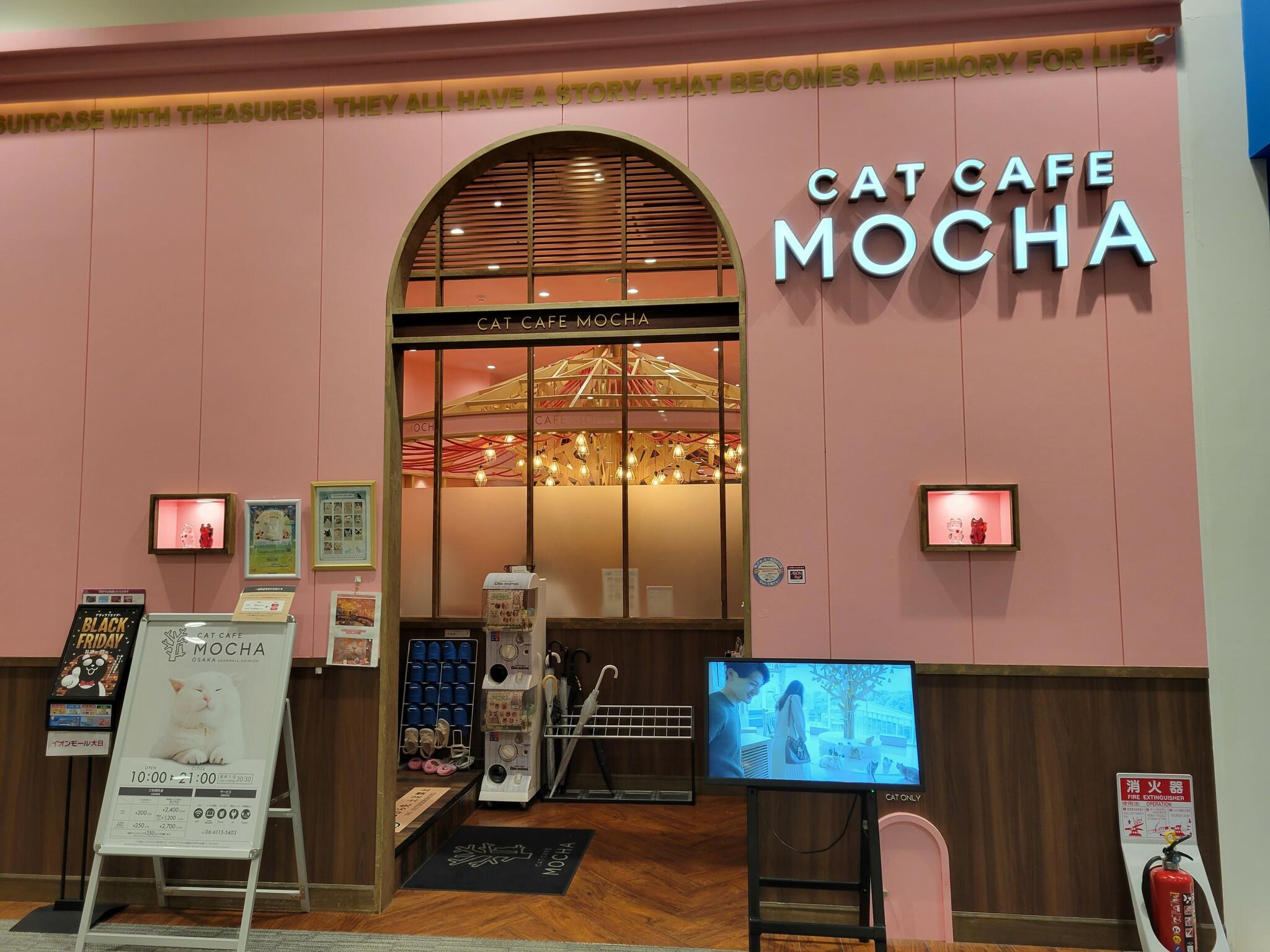 猫カフェ MOCHA イオンモール大日店の代表写真10