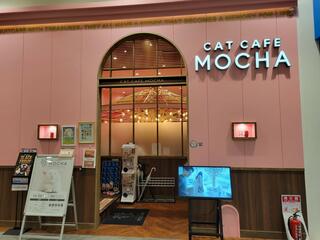 猫カフェ MOCHA イオンモール大日店のクチコミ写真1