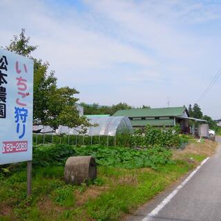 松本農園の写真1